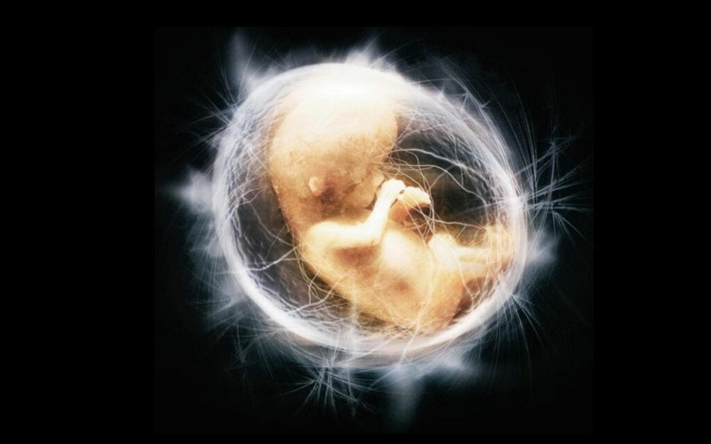 Walad al-Zina (Child Born Out of Wedlock) in Imami Law